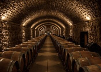 Protos Rotwein Spanien: Produktion und Lagerung