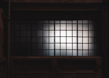 Schädlinge im Keller: Wann lohnt sich ein Fachbetrieb?