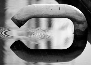 Vivenso Wasserstaubsauger Black Friday: Lohnt es sich?